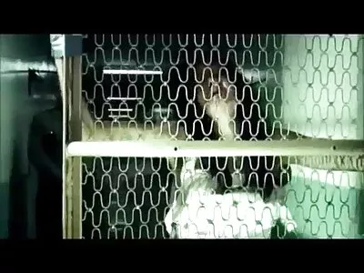 रेवेन-केस असलेल्या आकर्षक सोफ्यावर मस्त धमाके घेतात