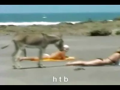 डोळ्यात भरणारा स्वयंसेवक झगझगीत लेस्बियन MILF द्वारे मोहात पडला