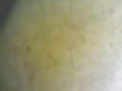 हे दोन लव्ह बर्ड्स शॉवर घेत आहेत आणि वेड्यासारखे दणके देत आहेत